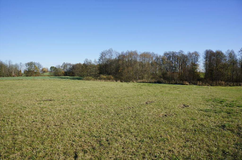 Działka budowlana 3034&nbsp;m², Kalinowo - zdjęcie 3