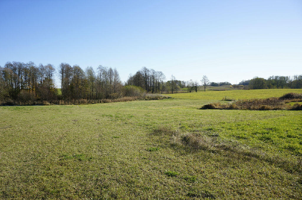 Działka budowlana 3034&nbsp;m², Kalinowo - zdjęcie 2