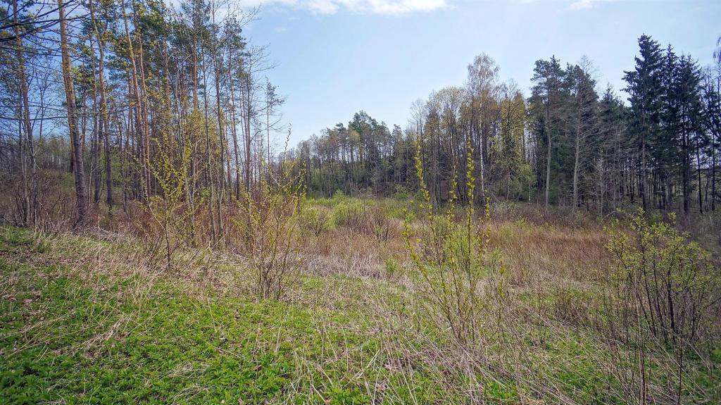 Działka budowlana 2,84&nbsp;ha, Gołdap - zdjęcie 8