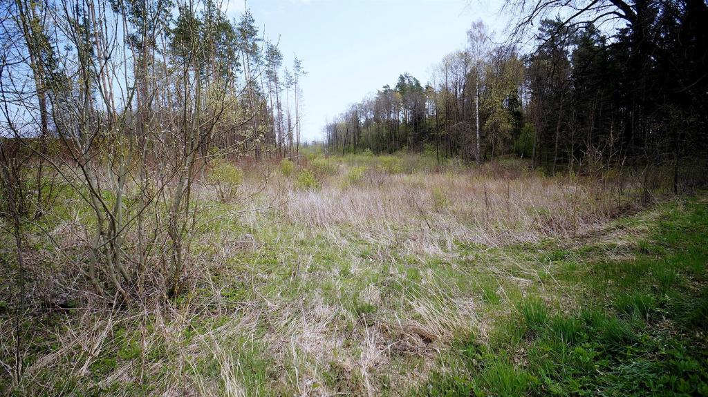 Działka budowlana 2,84&nbsp;ha, Gołdap - zdjęcie 11