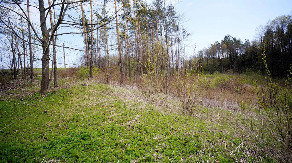 Działka budowlana 2,84&nbsp;ha, Gołdap - zdjęcie 9