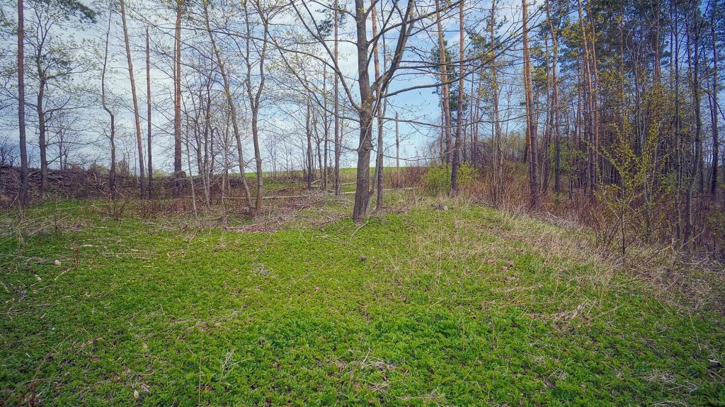Działka budowlana 2,84&nbsp;ha, Gołdap - zdjęcie 10