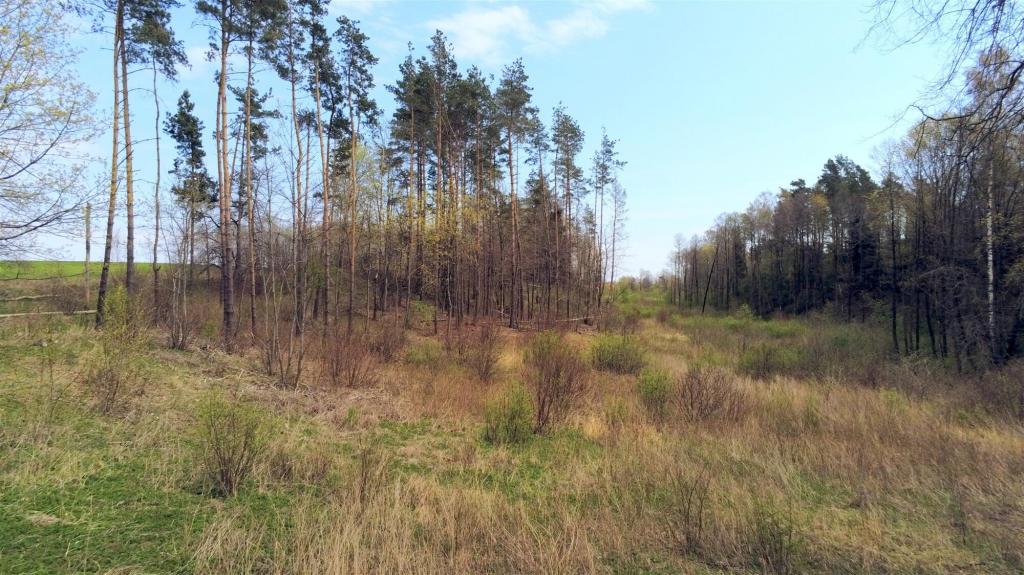 Działka budowlana 2,84&nbsp;ha, Gołdap - zdjęcie 7
