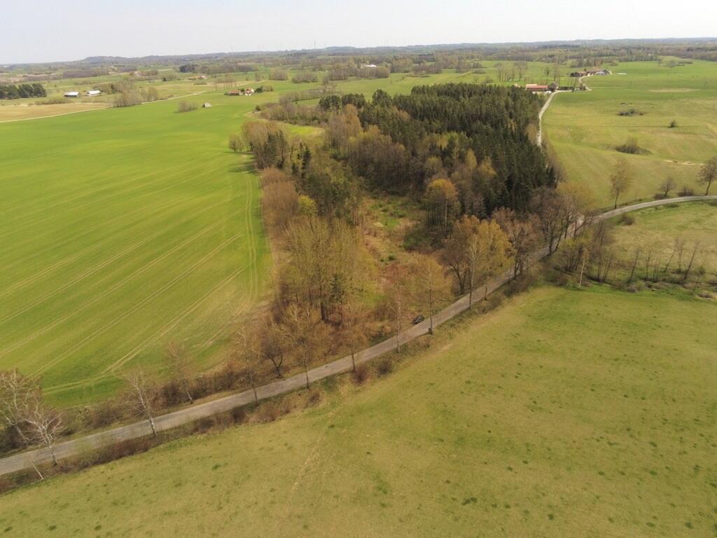 Działka budowlana 2,84&nbsp;ha, Gołdap - zdjęcie 2