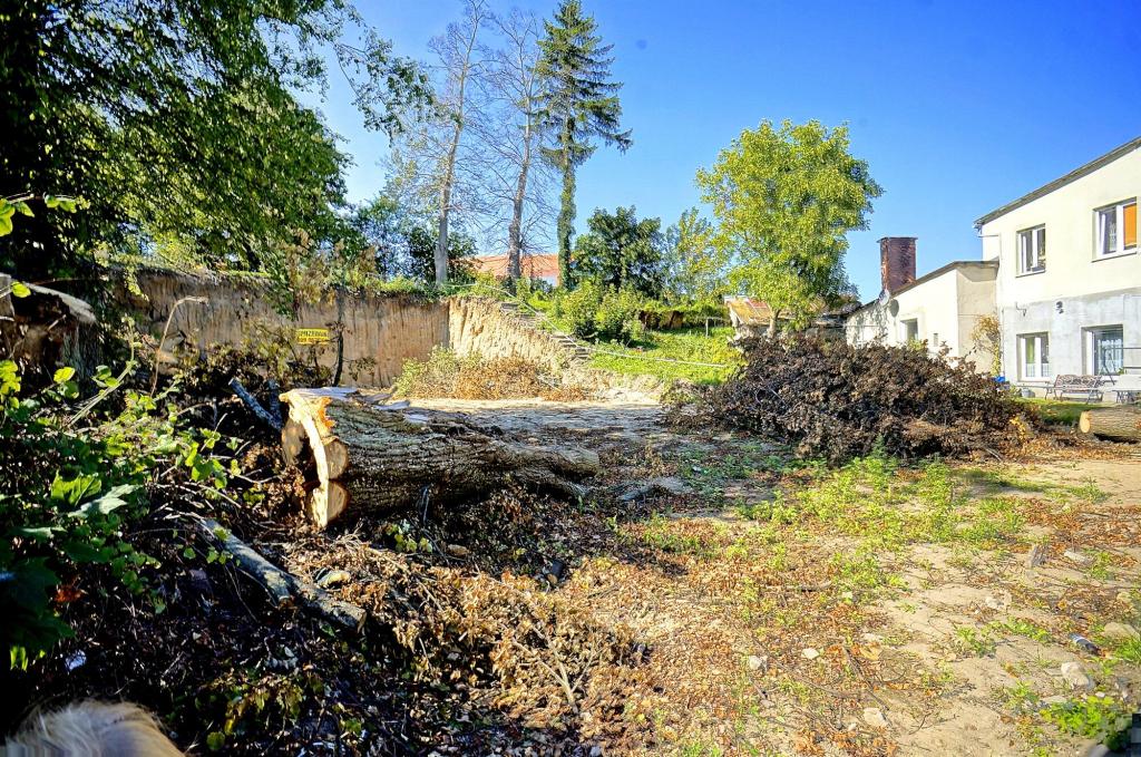 Działka budowlana 520 m², Mikołajki, Warszawska - zdjęcie 4