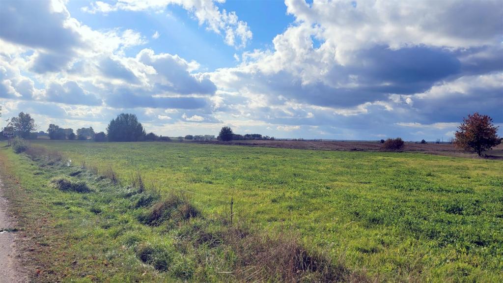 Działka budowlana 3038 m², Ełk - zdjęcie 5