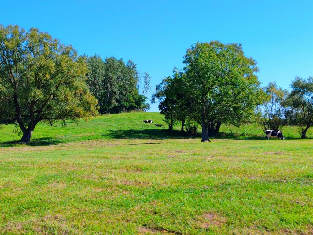 Działka budowlana 1182 m², Prostki - zdjęcie 2