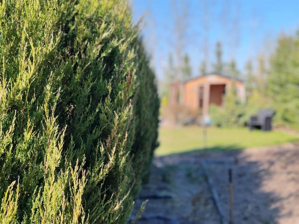 Działka budowlana 1303 m², Ełk, Królów Polskich - zdjęcie 6