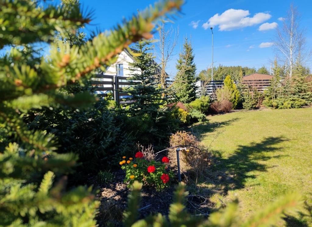 Działka budowlana 1303 m², Ełk, Królów Polskich - zdjęcie 8