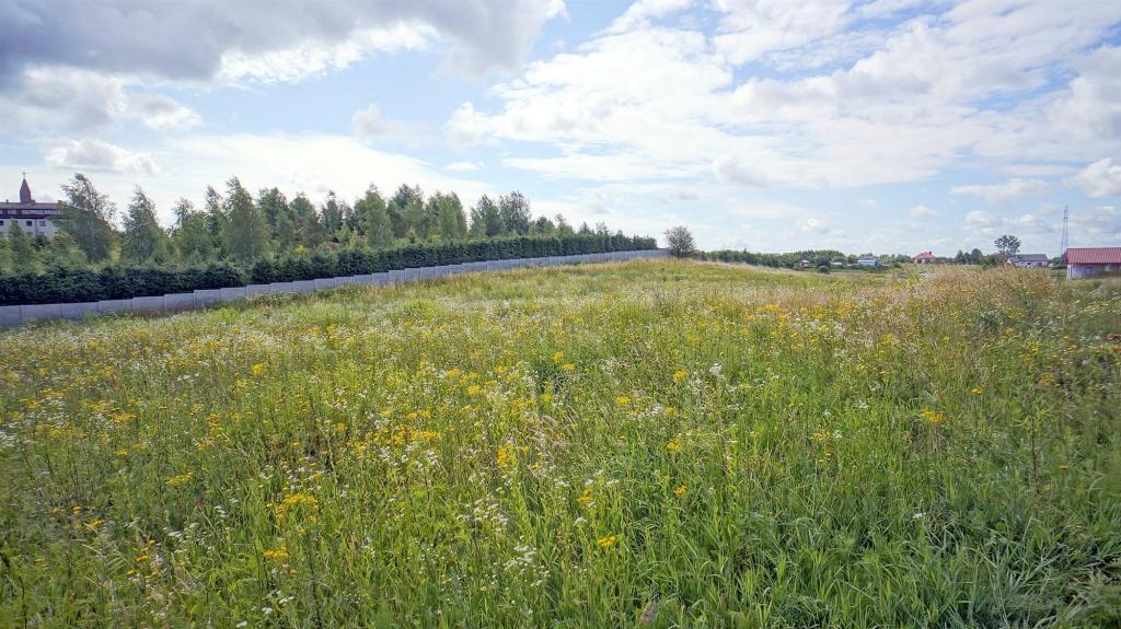 Działka budowlana 2,27 ha, Ełk - zdjęcie 7