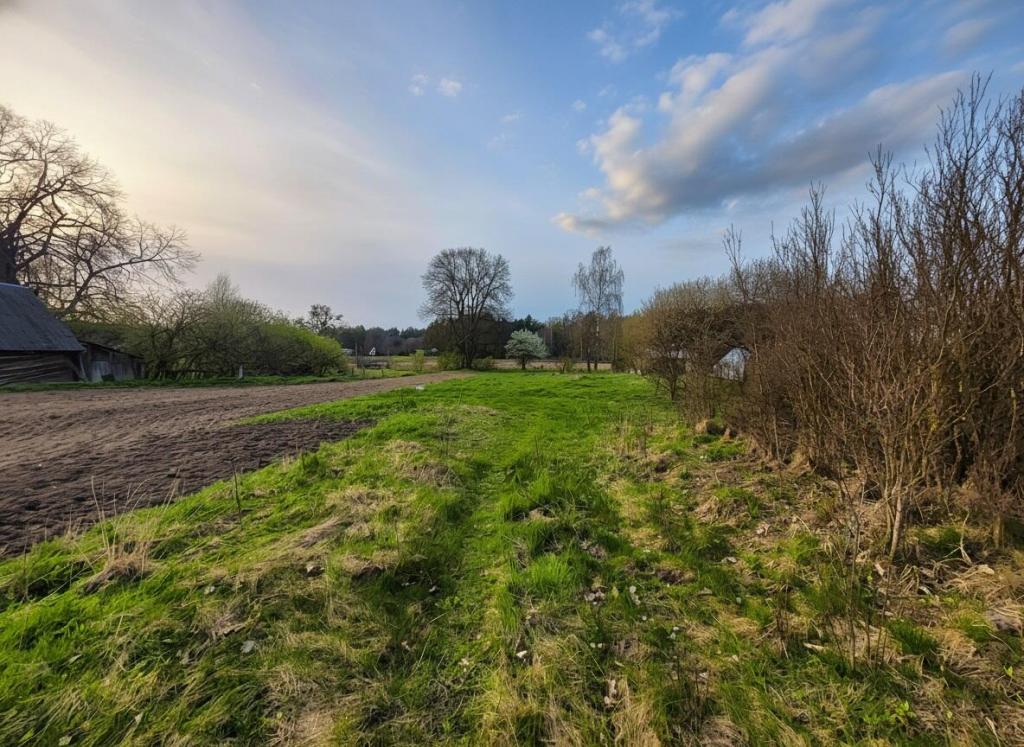 Działka budowlana 1609 m², Lipsk - zdjęcie 3