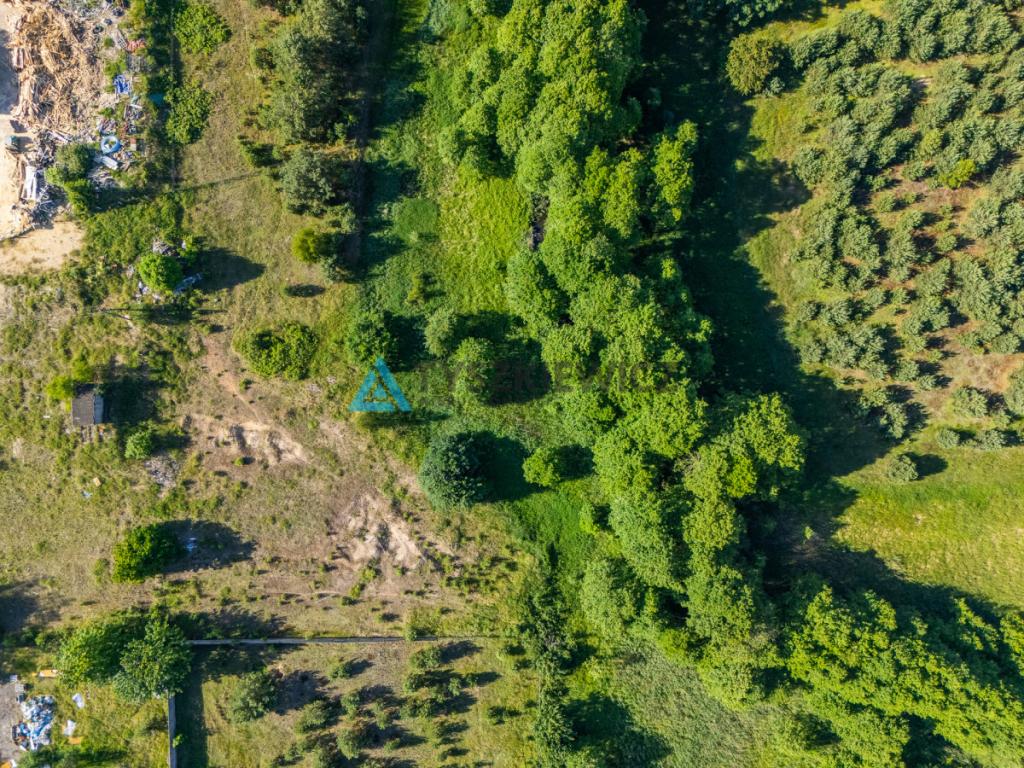 Działka pod działalności usługową i produkcyjną - zdjęcie 16