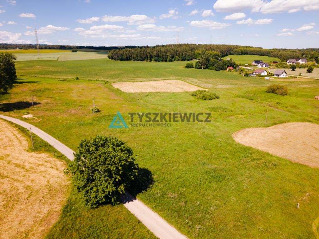Interesująca działka w niskiej cenie! - zdjęcie 2