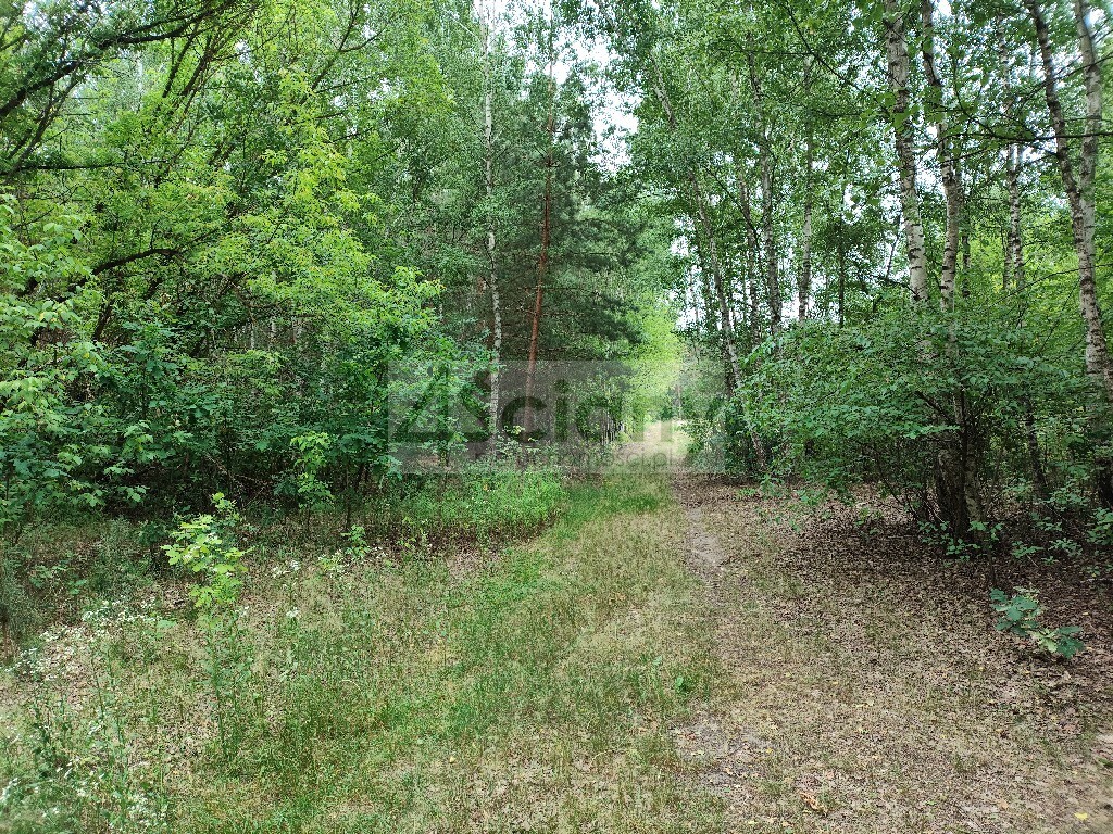 Działka budowlana 1706 m², Wólka - zdjęcie 2