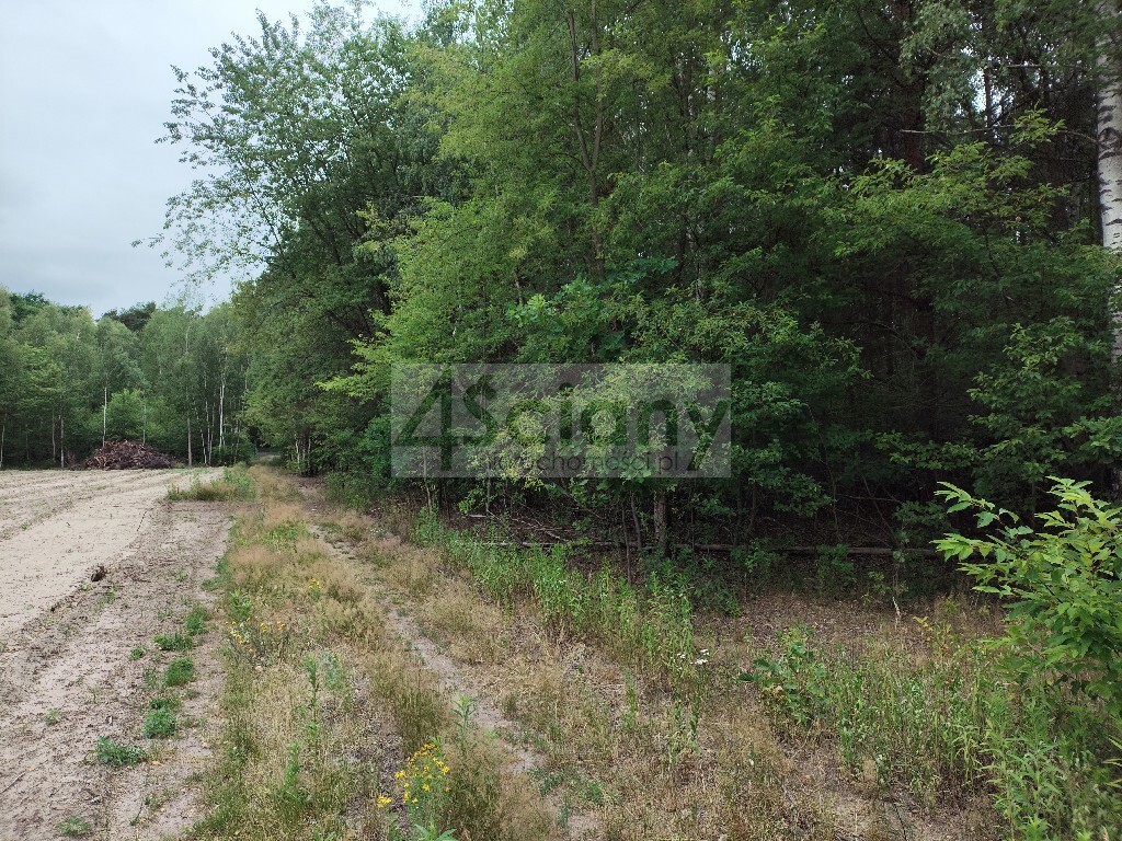 Działka budowlana 1706 m², Wólka - zdjęcie 1