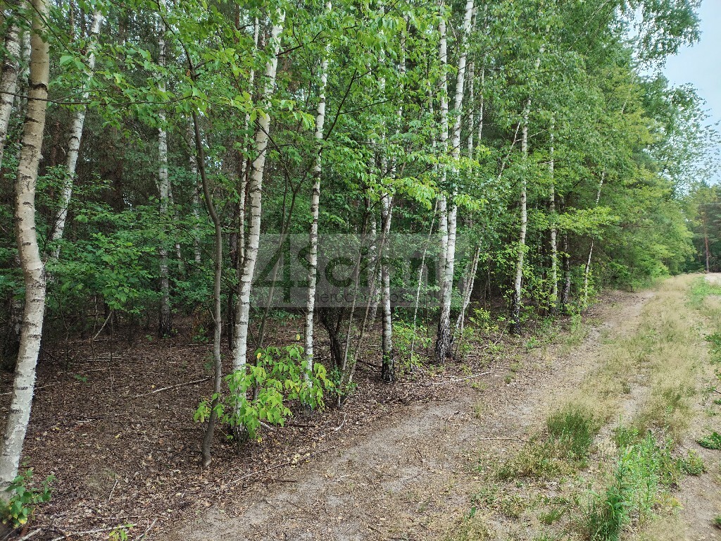 Działka budowlana 1706 m², Wólka - zdjęcie 4