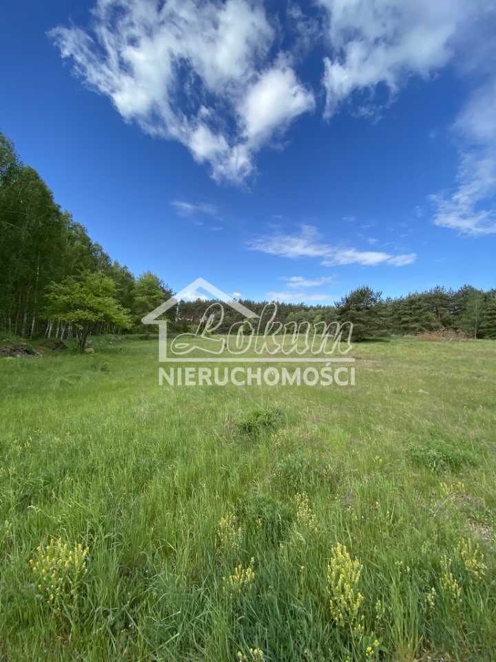 Działka budowlana 1463&nbsp;m², Buk - zdjęcie 5