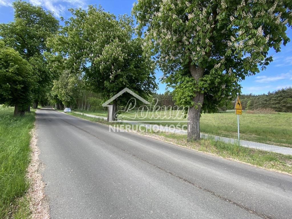 Działka budowlana 1463&nbsp;m², Buk - zdjęcie 7