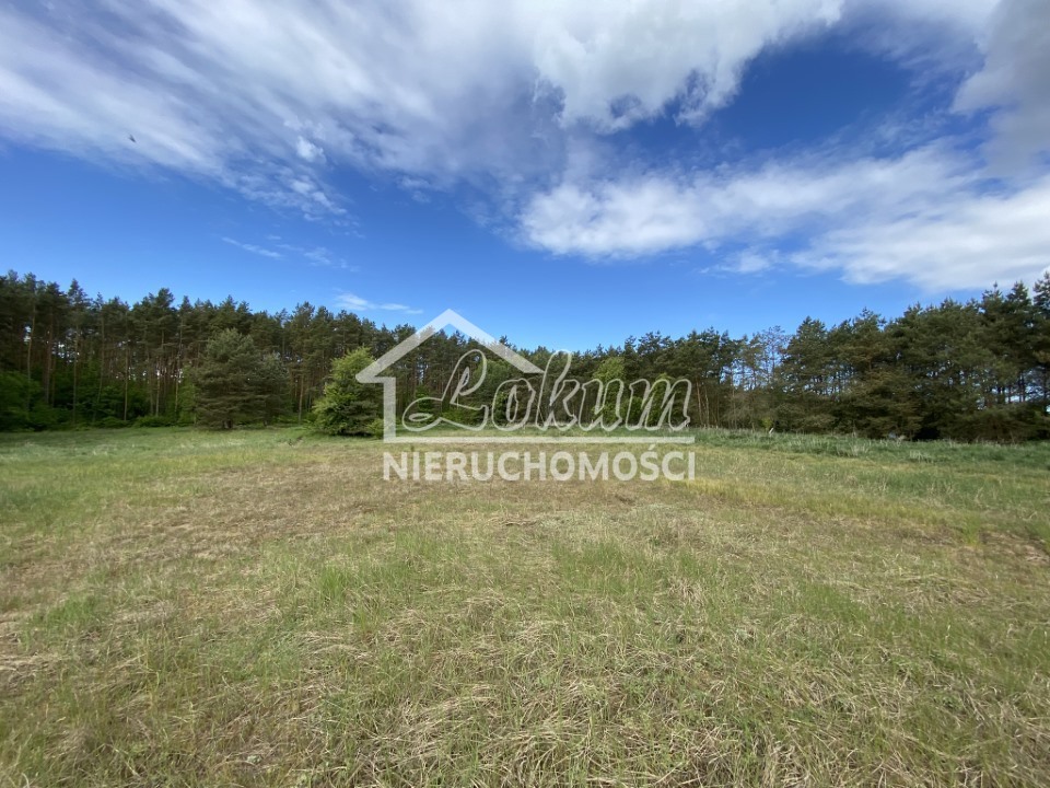 Działka budowlana 1463&nbsp;m², Buk - zdjęcie 9