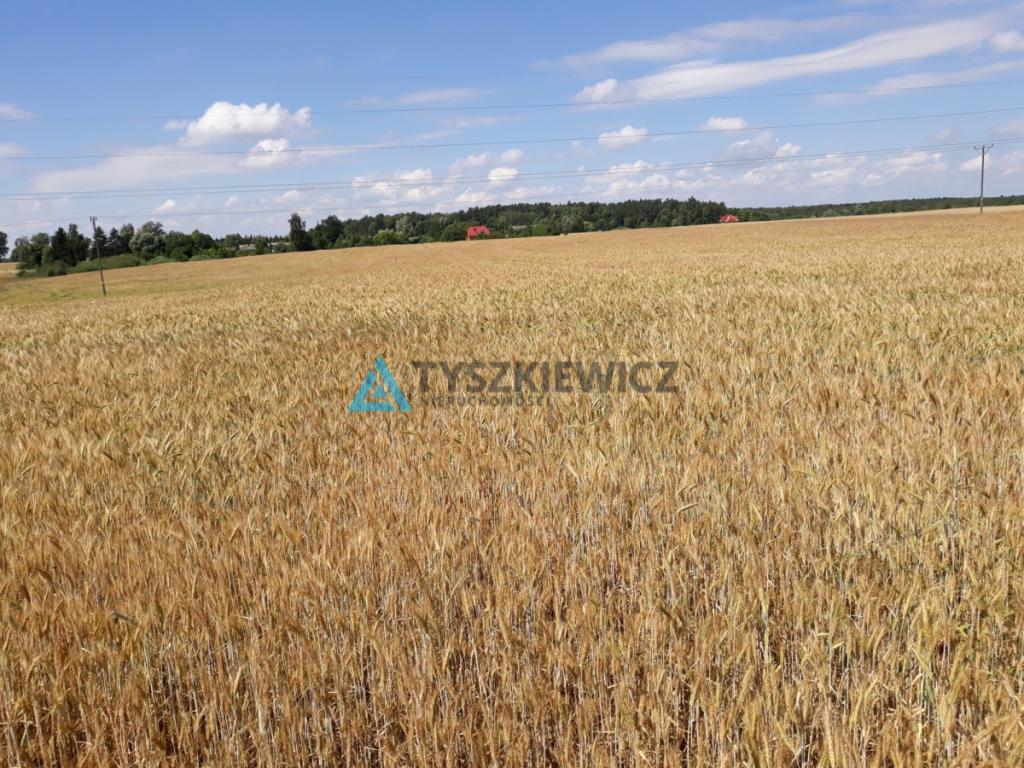 Działka Sztumska Strefa Ekonomiczna - zdjęcie 3