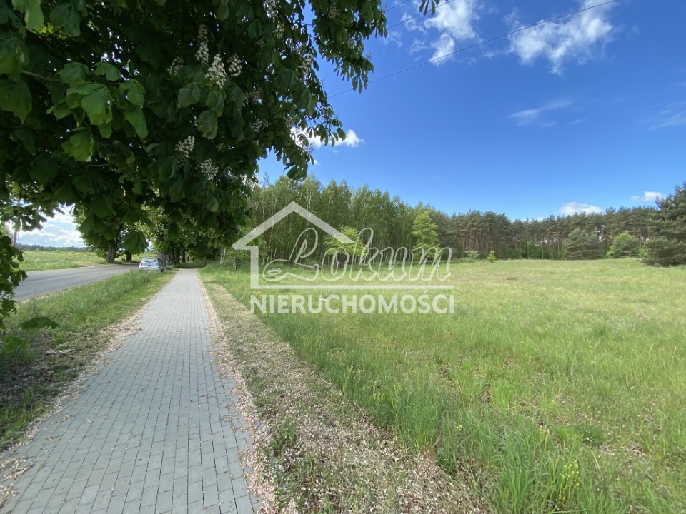 Działka budowlana 1237 m², Buk - zdjęcie 2