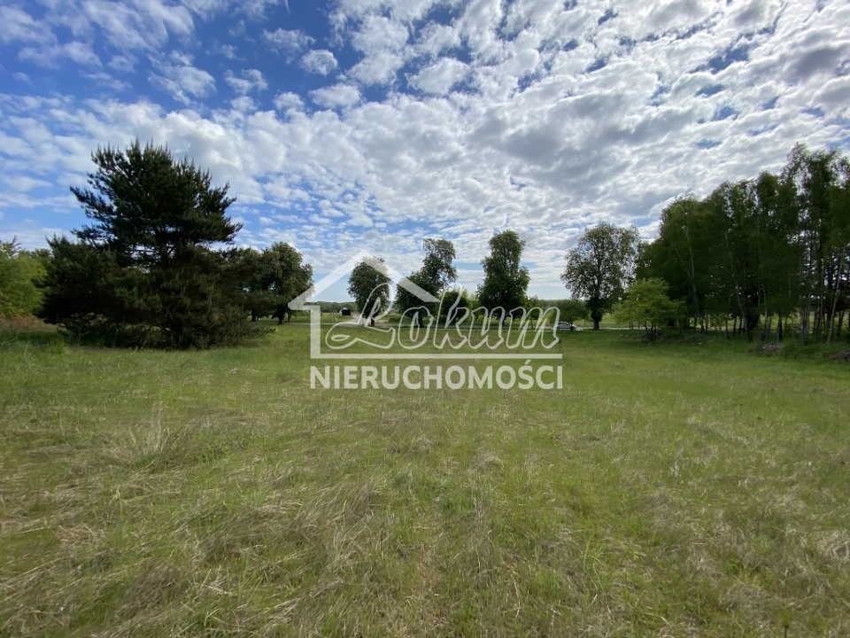 Działka budowlana 1237 m², Buk - zdjęcie 4