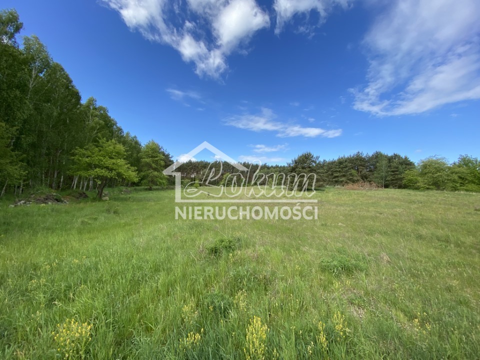 Działka budowlana 1237 m², Buk - zdjęcie 1