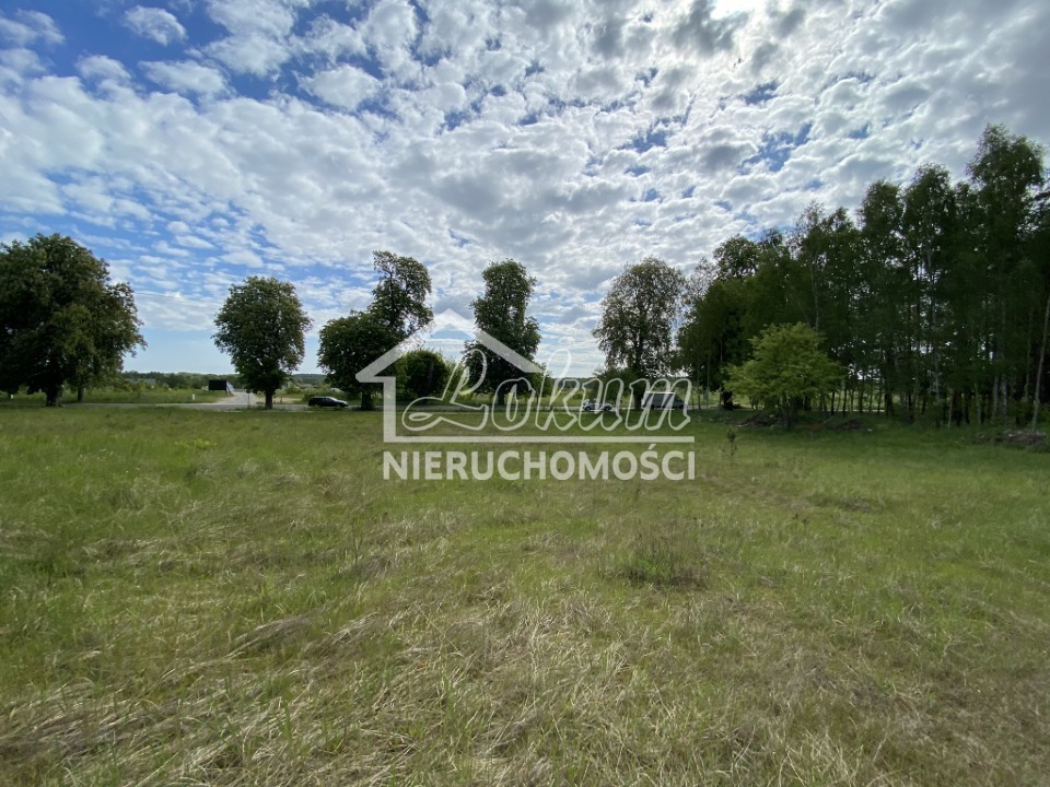 Działka budowlana 1237 m², Buk - zdjęcie 10