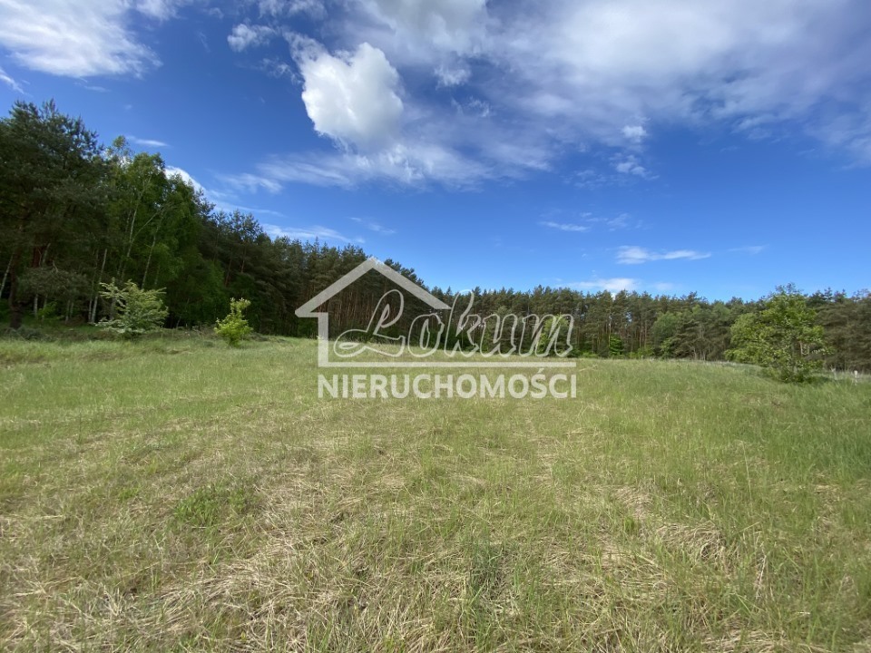 Działka budowlana 1237 m², Buk - zdjęcie 3