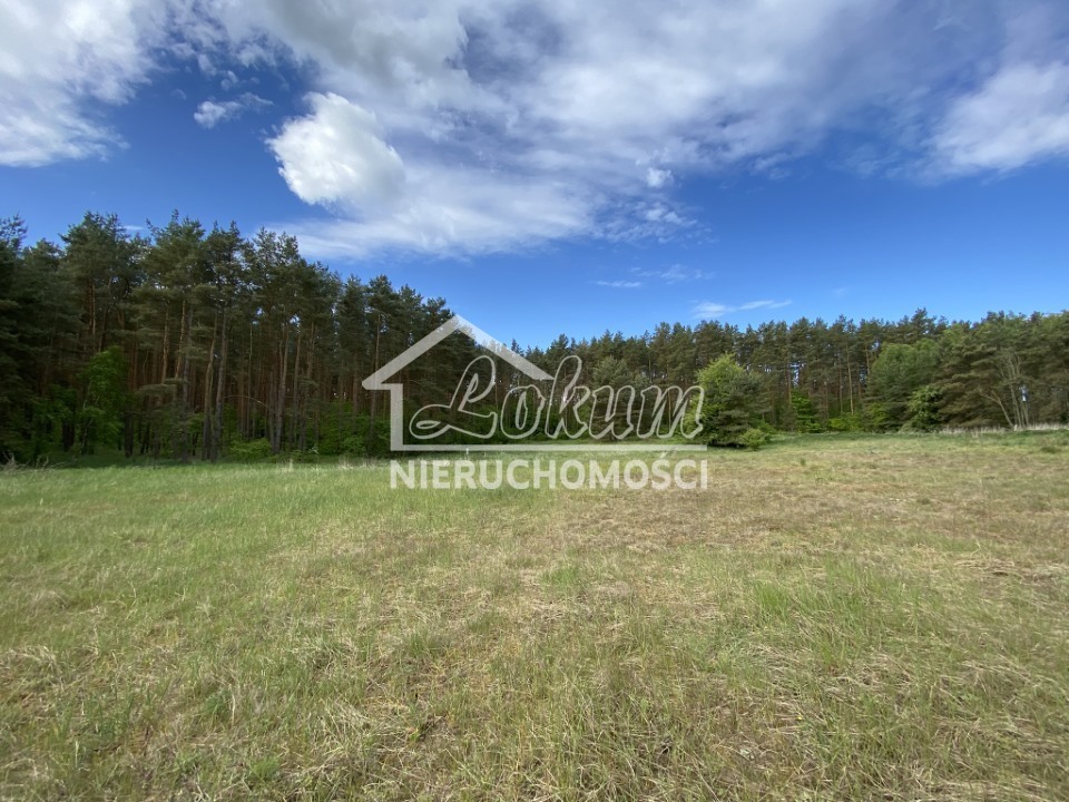 Działka budowlana 1237 m², Buk - zdjęcie 14