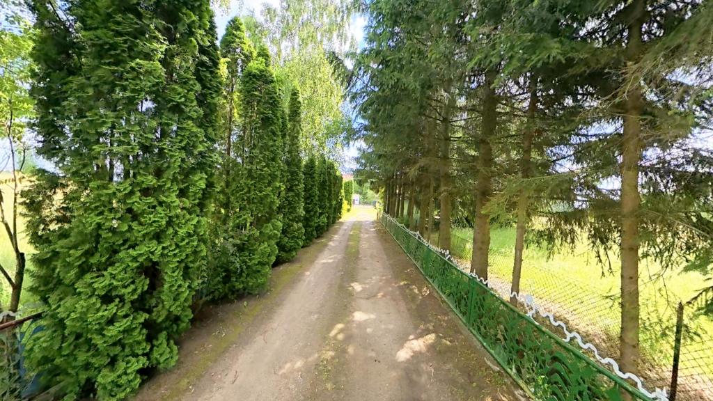 Lokal usługowy na sprzedaż, 330674 m², Orzysz, Ogródek - zdjęcie 13