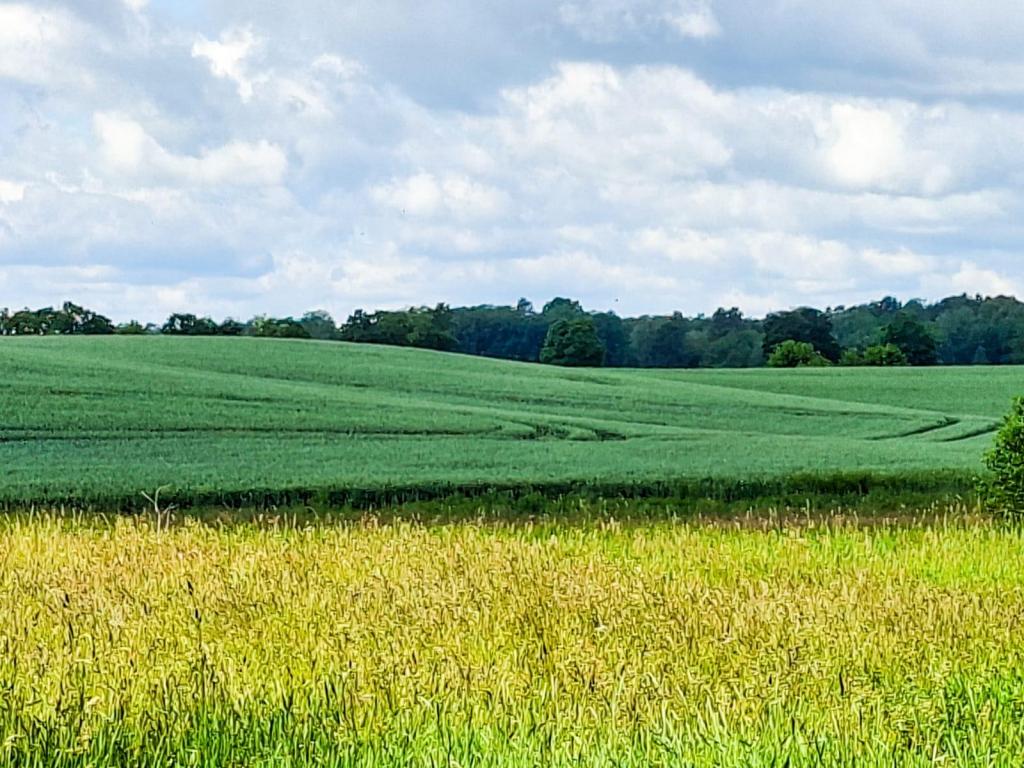 Lokal usługowy na sprzedaż, 330674 m², Orzysz, Ogródek - zdjęcie 16