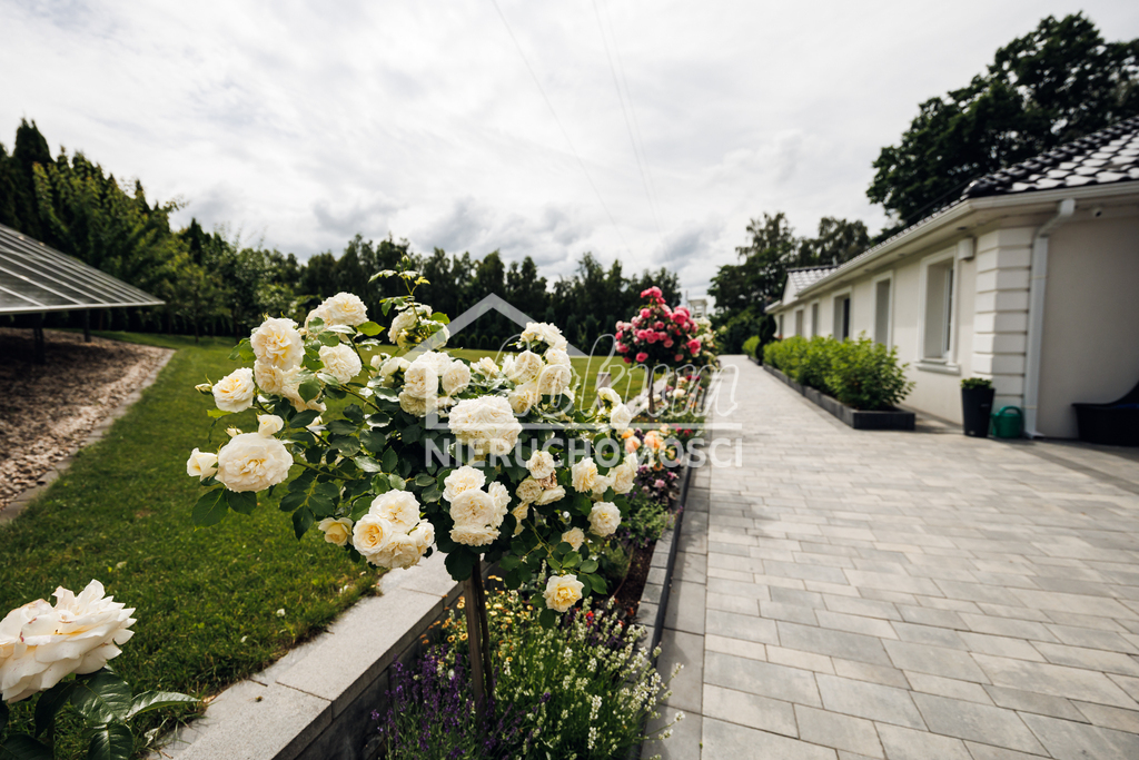 Dom 335,28 m², Maszewo - zdjęcie 9