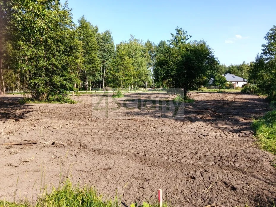 Działka budowlana 1500 m², Radonie - zdjęcie 1