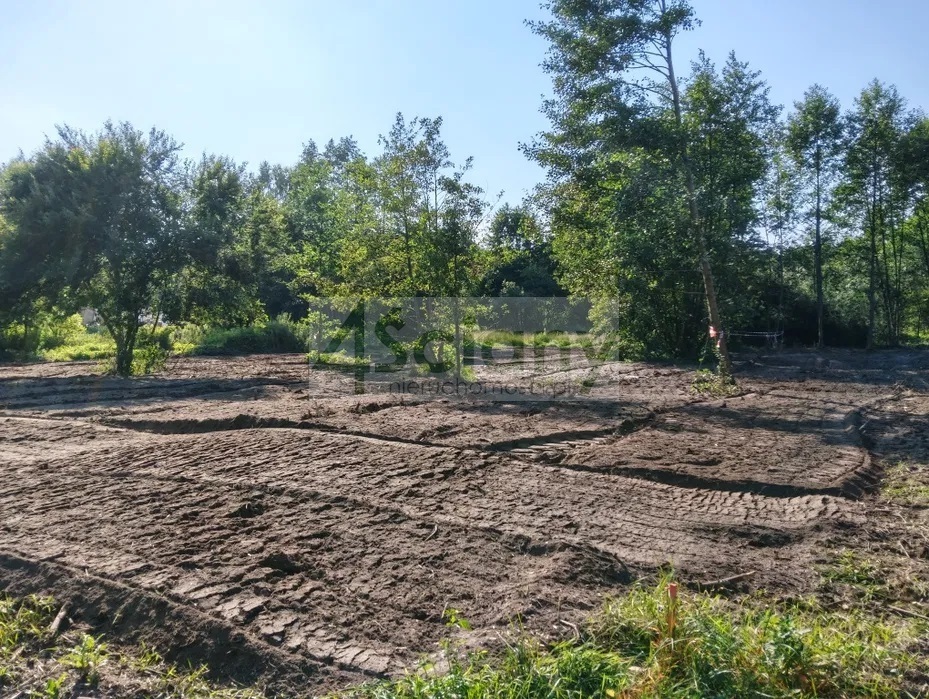 Działka budowlana 1500 m², Radonie - zdjęcie 2