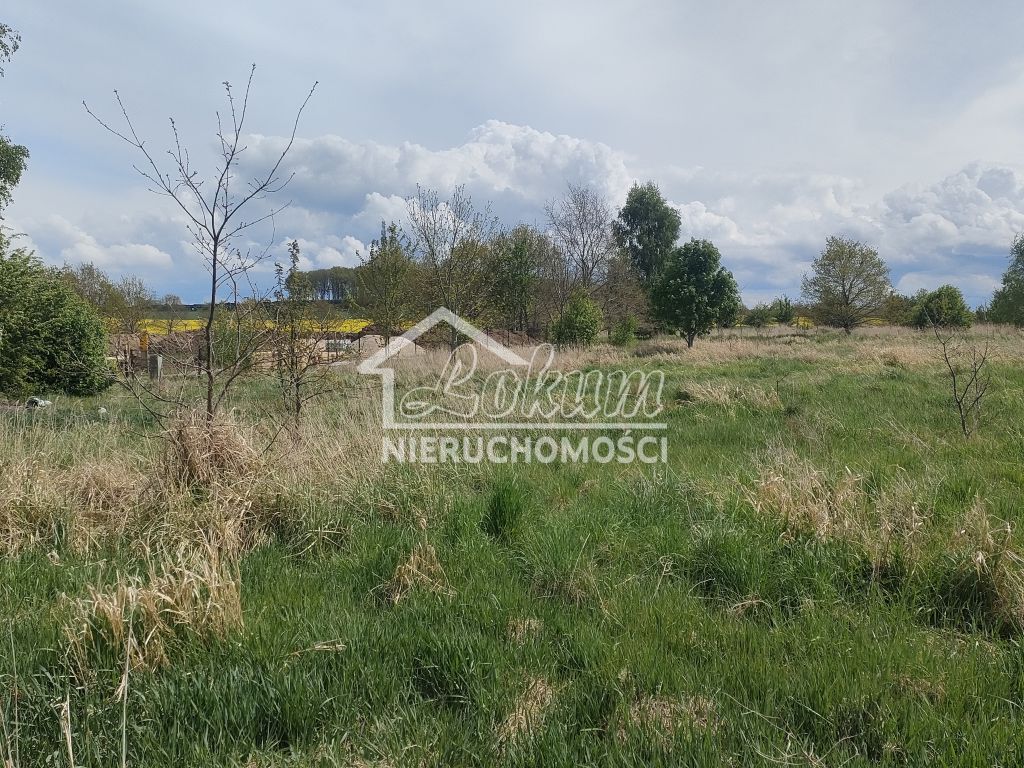 Działka budowlana 1394 m², Lędzin - zdjęcie 8