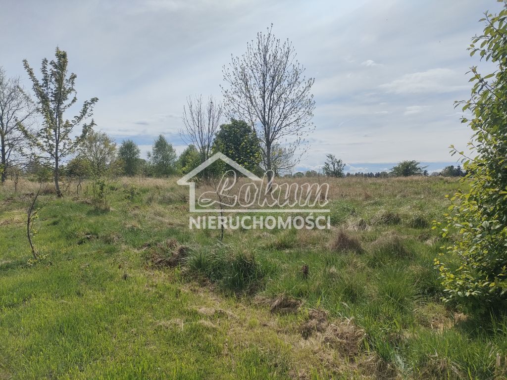 Działka budowlana 1394 m², Lędzin - zdjęcie 5