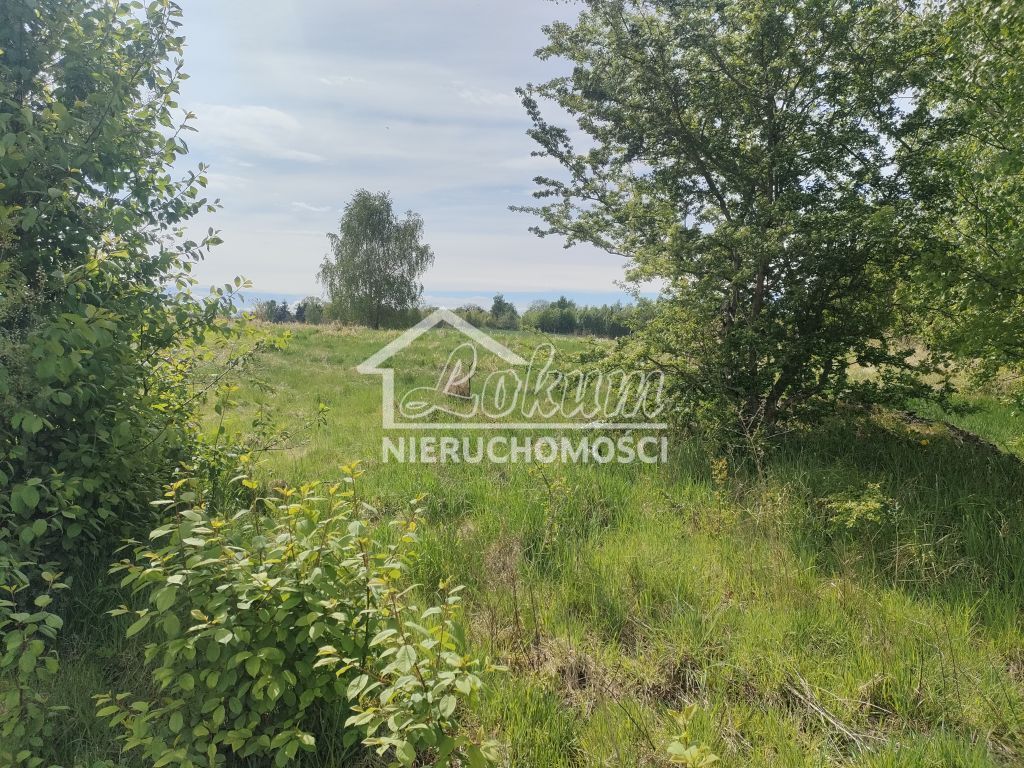 Działka budowlana 1394 m², Lędzin - zdjęcie 7