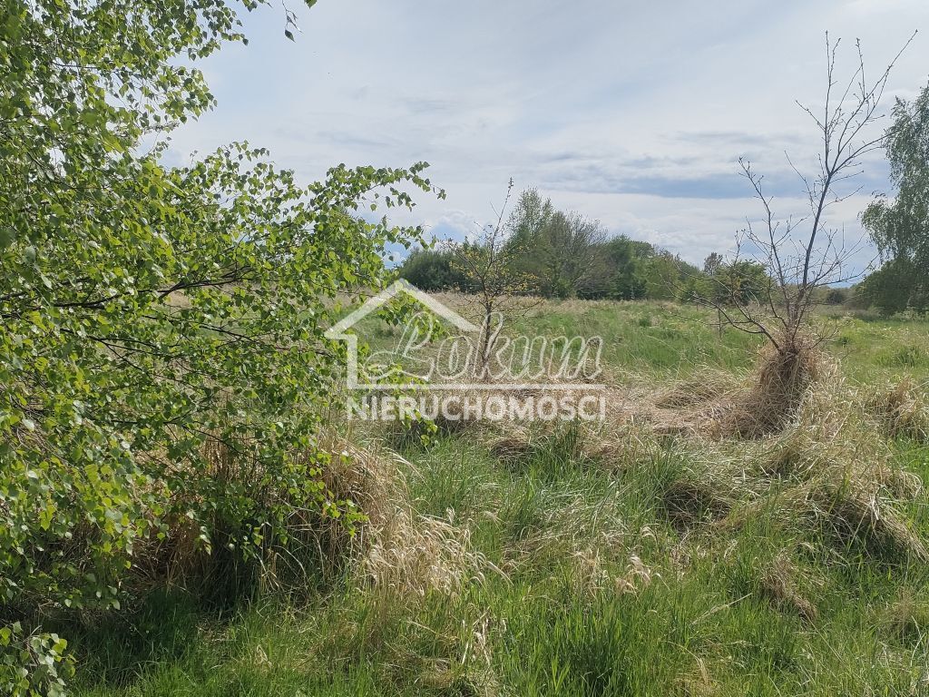 Działka budowlana 1394 m², Lędzin - zdjęcie 9
