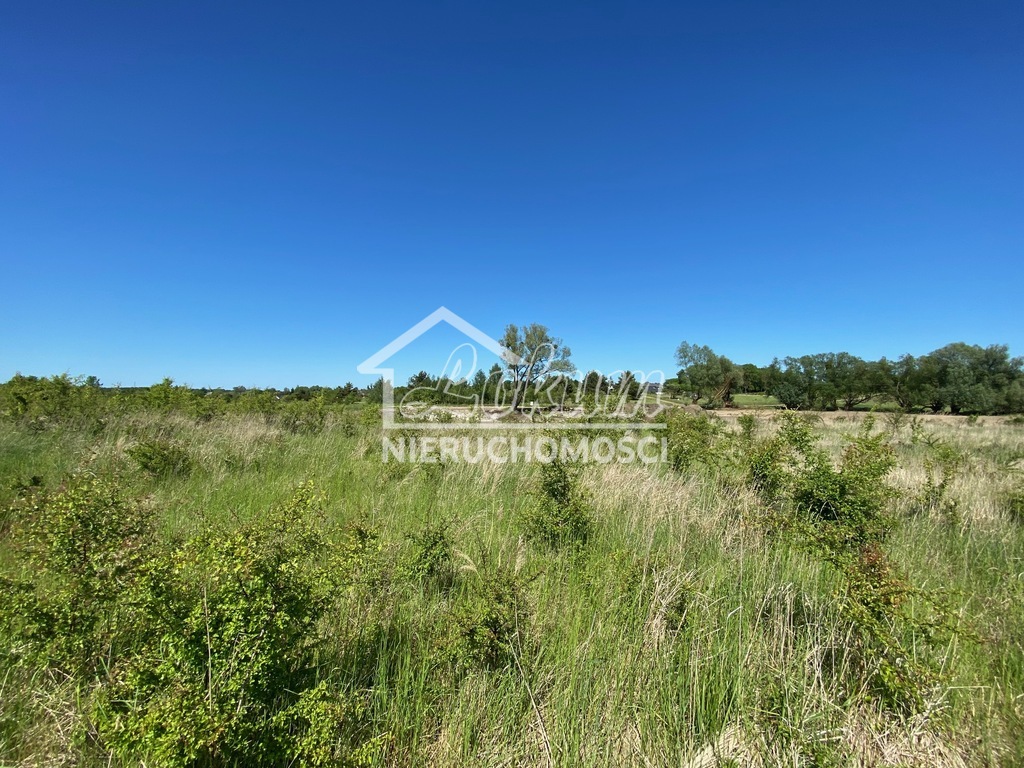 Działka budowlana 1525&nbsp;m², Dołuje - zdjęcie 1