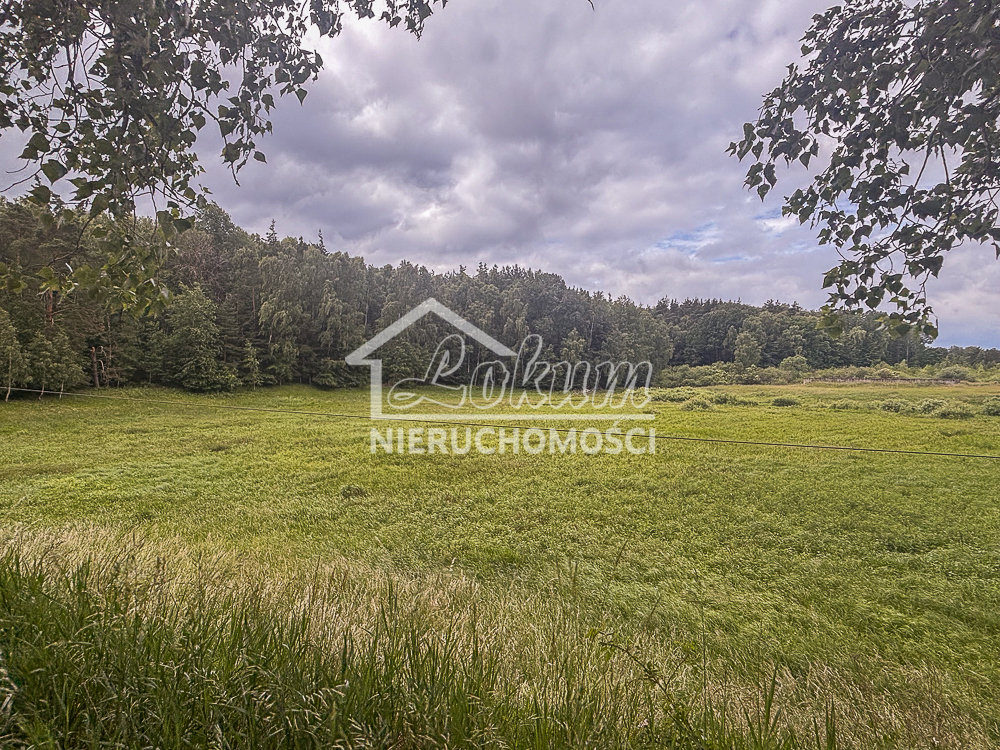 Działka rolna 3,00 ha, Piaseczno - zdjęcie 4