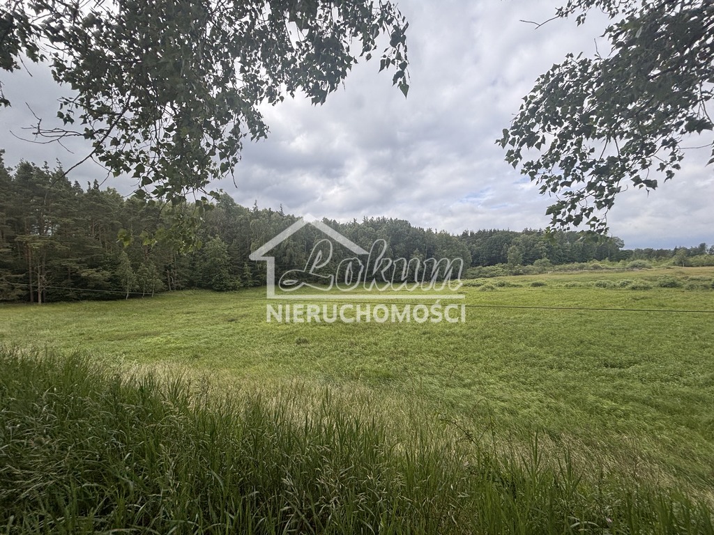 Działka rolna 3,00 ha, Piaseczno - zdjęcie 12