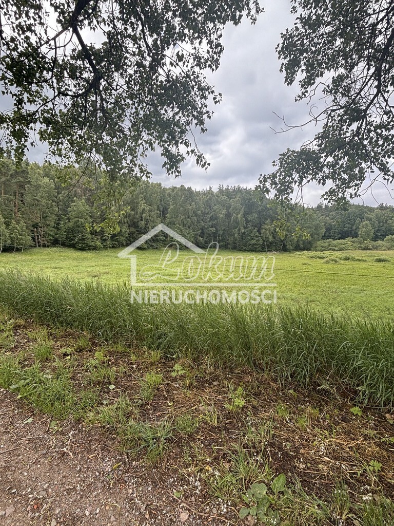 Działka rolna 3,00 ha, Piaseczno - zdjęcie 14