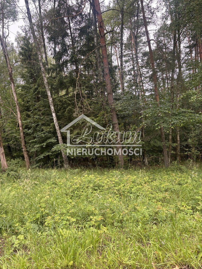 Działka rolna 3,00 ha, Piaseczno - zdjęcie 5