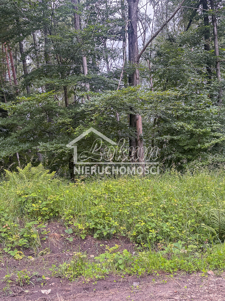 Działka rolna 3,00 ha, Piaseczno - zdjęcie 7
