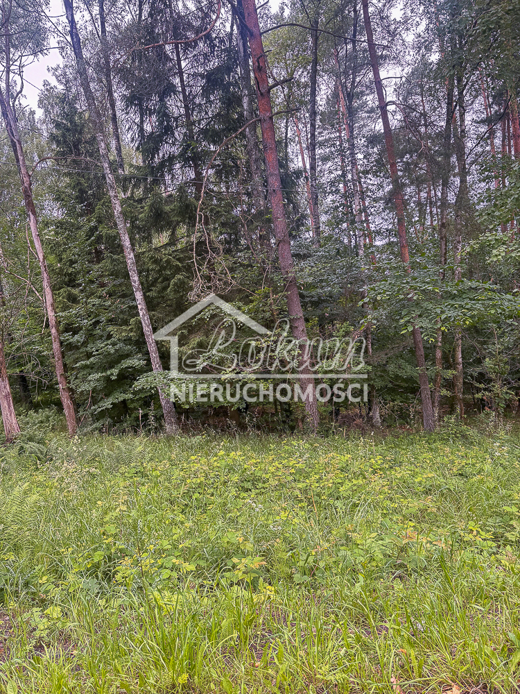 Działka rolna 3,00 ha, Piaseczno - zdjęcie 8