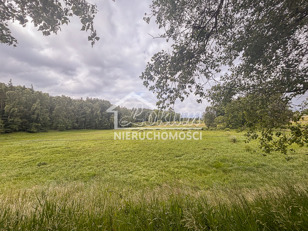 Działka rolna 3,00 ha, Piaseczno - zdjęcie 3
