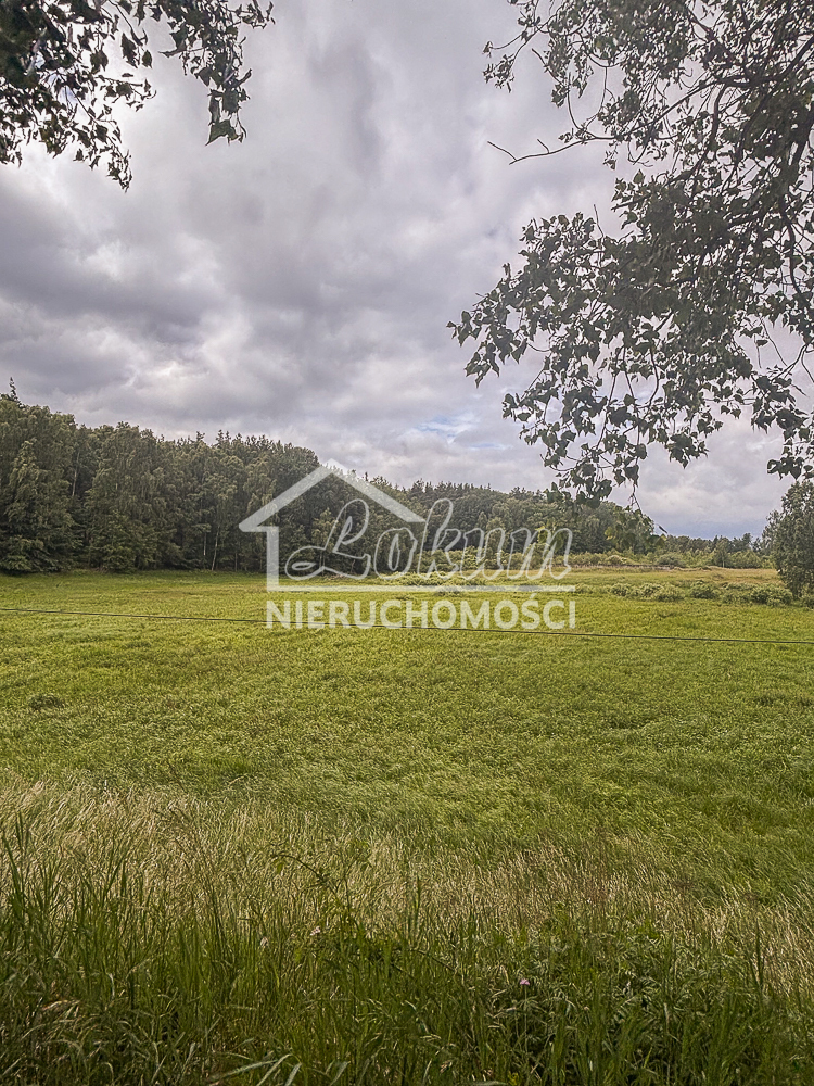 Działka rolna 3,00 ha, Piaseczno - zdjęcie 9