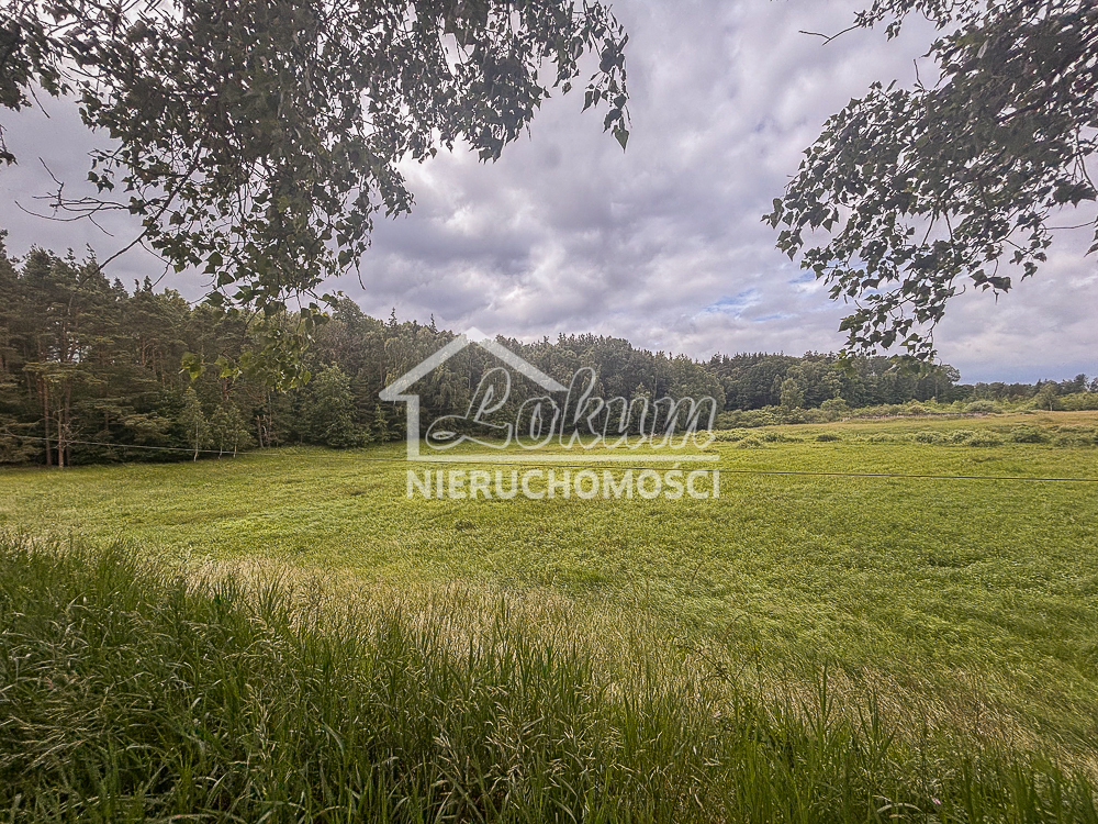 Działka rolna 3,00 ha, Piaseczno - zdjęcie 2