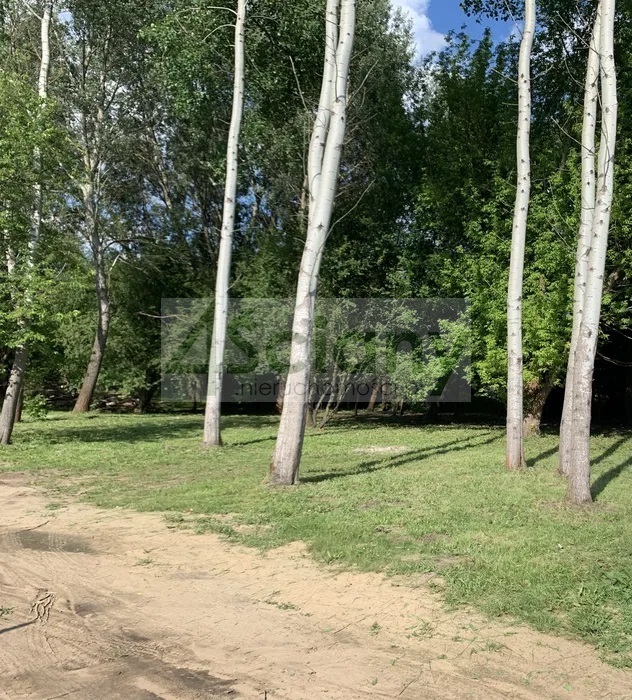 Działka budowlana 1094 m², Kanie - zdjęcie 6